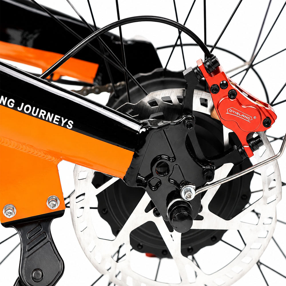 PHILIAM FX1 Electric Bike