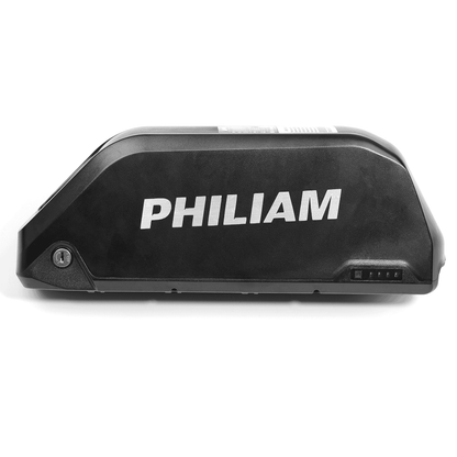 52V23AH FX1 e-bike Battery