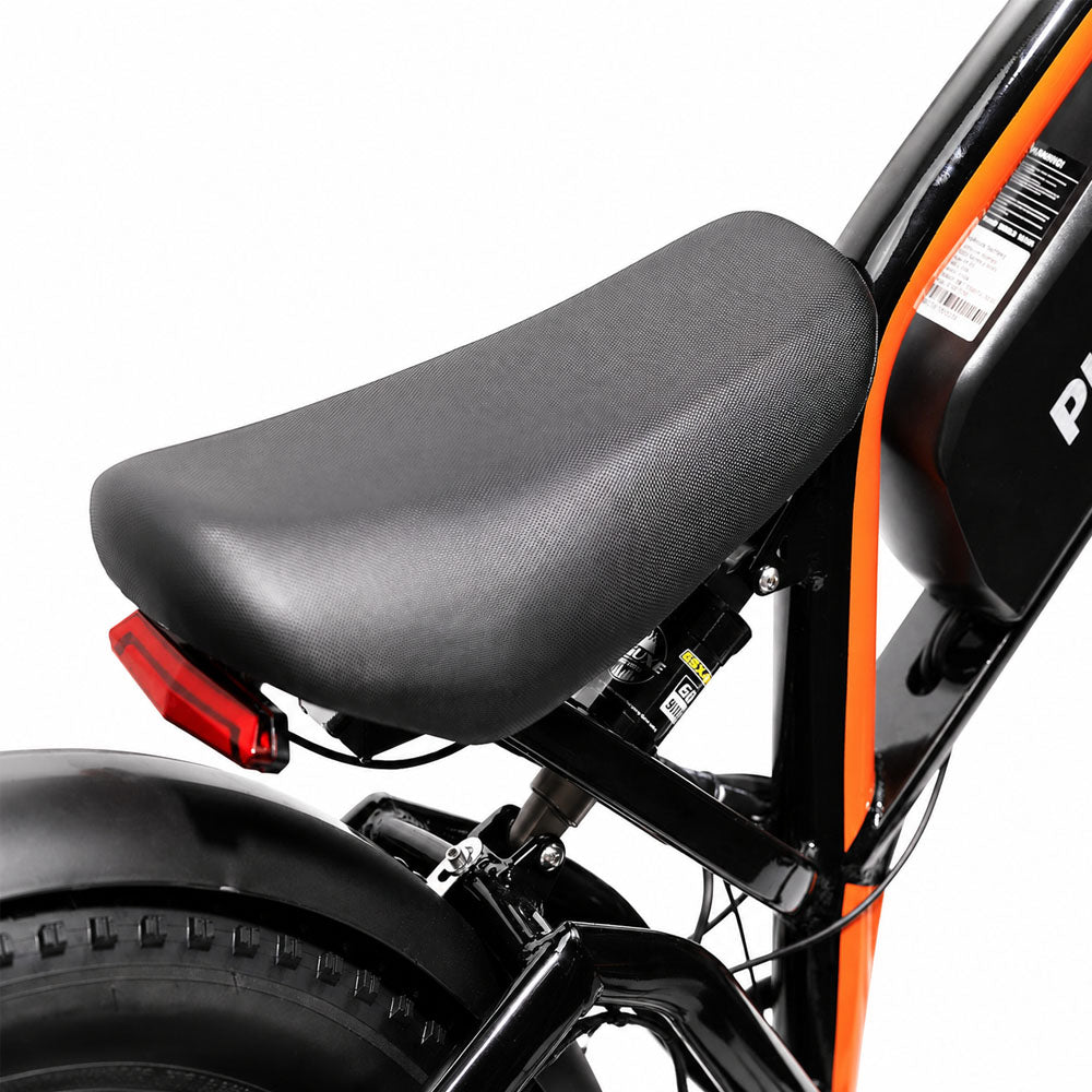 PHILIAM FX1 Electric Bike