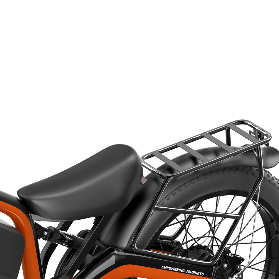 PHILIAM FX1 Fender